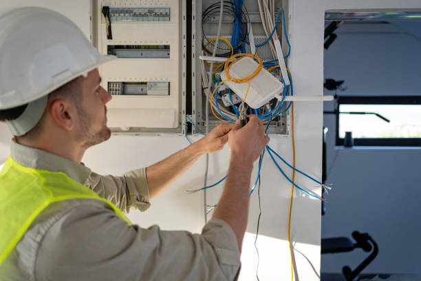 Best Electric Panel Repair  in Granvle, IL